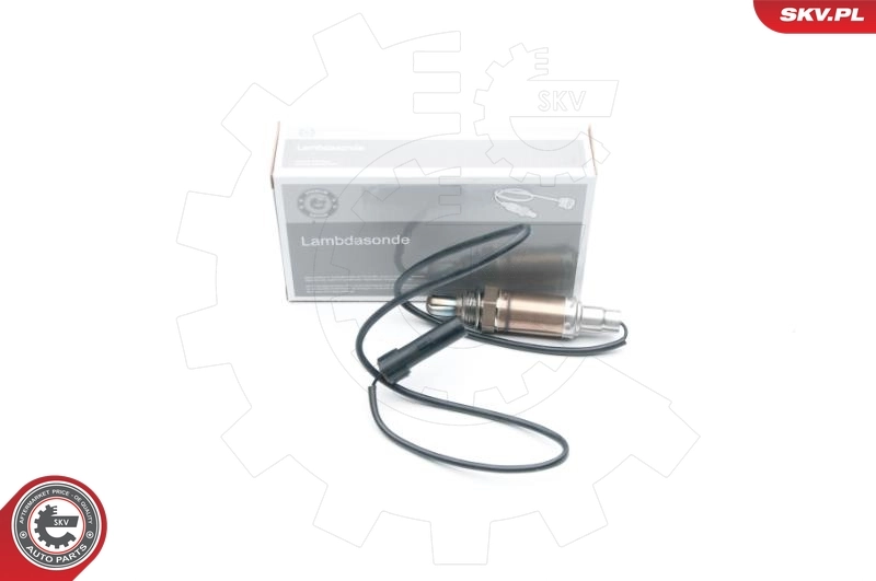 Oxygen Sensor